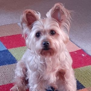 Meet your Posher, Mary